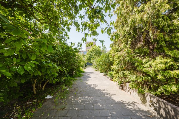 Medium property photo - Ijsbloempad 11, 3202 CH Spijkenisse